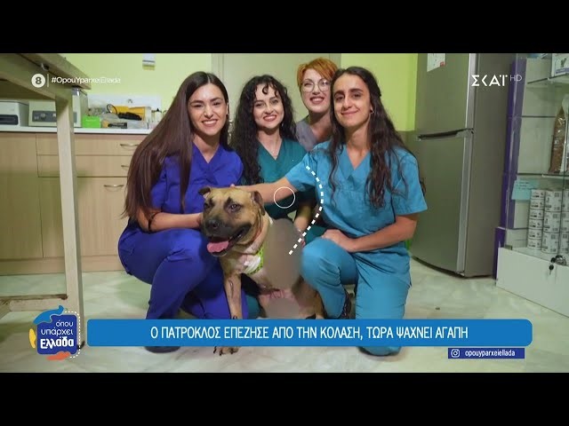 48χρονος έσερνε σκύλο δεμένο στο αυτοκίνητό του (βίντεο)